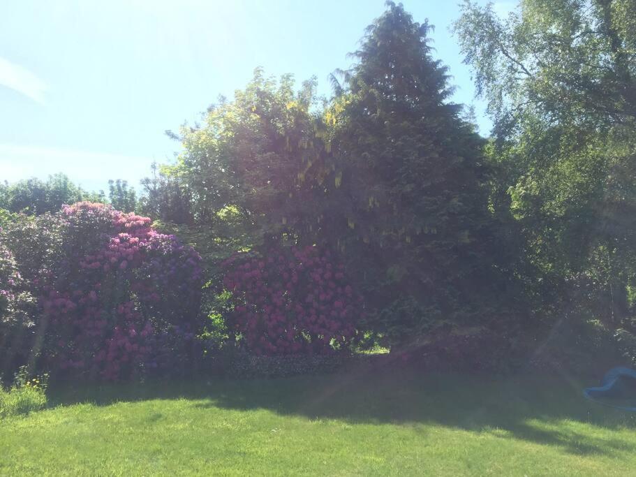 Willow Cottage, Gilchristland Organic Farm Closeburn المظهر الخارجي الصورة
